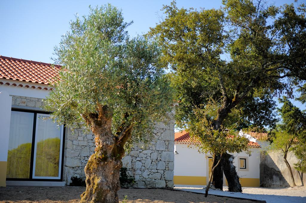 Casa Das Rendufas- Turismo Rural Com Figos Rendufas da Estrada ภายนอก รูปภาพ